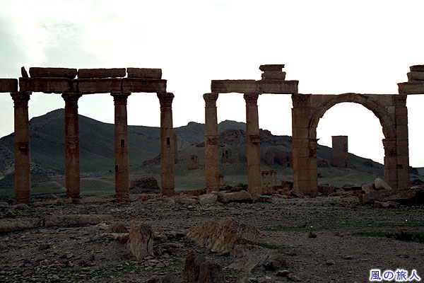 列柱と塔墓群　パルミラ遺跡　Site of Palmyra