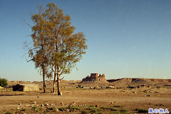ラハバ城砦の遠景　アルラーバ城砦　Qala'at Al-Rahba