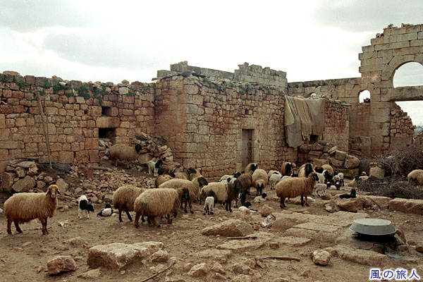 ルウェイハの遺跡15　Ruins of Ruweiha(The Dead Cities)