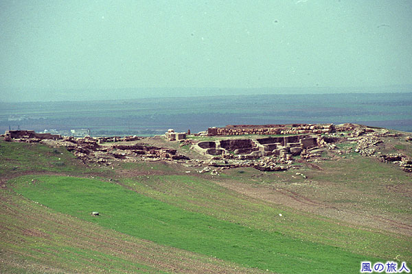 丘の上の遺跡　エブラ遺跡の写真