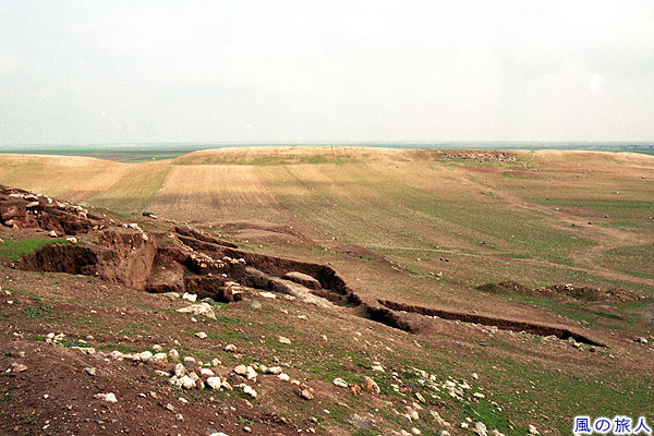 斜面の遺構　エブラ遺跡の写真
